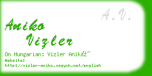 aniko vizler business card